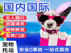 呼和浩特空运公司国际宠物托运 【国